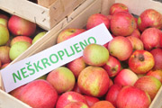 Jabolka iz visokodebelnih travniških sadovnjakov