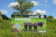 Ormoške lagune vabijo (Vojko Strahovnik)