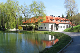 Kozjanski dvor