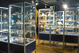 Muzej Školjk Piran