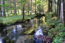The Source of Črna – the Second Source of the Savinja