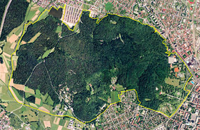 Krajinski park Tivoli, Rožnik in Šišenski hrib