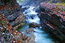 Natural water pools