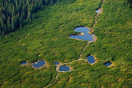 Panoramski pogled