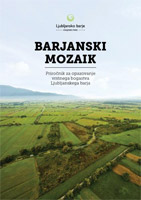 Barjanski mozaik