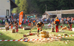 Carving Team