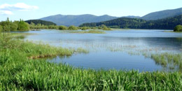 Cerkniško jezero