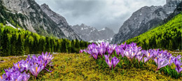 Fotografska razstava Narava