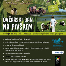 Ovčarski dan na Pivškem
