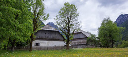 Pocarjeva domačija