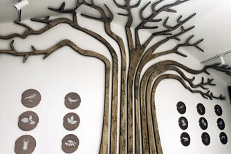 Center kraške vegetacije / Sežana
