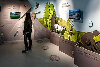 Interpretacijski center Škocjan, Park Škocjanske jame