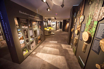 Infocenter Triglavska roža, Bled