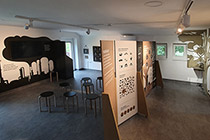 CENTER OHRANJANJA NARAVE ŽABJA HIŠA