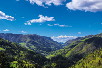 Dolina vzdolž idrijskega preloma