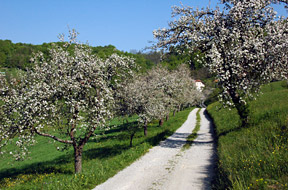 MAB - človek in biosfera