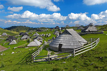 Velika planina
