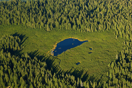 Črno jezero