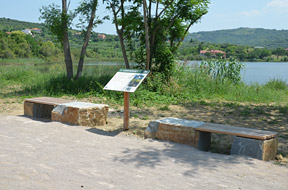 Tematske poti